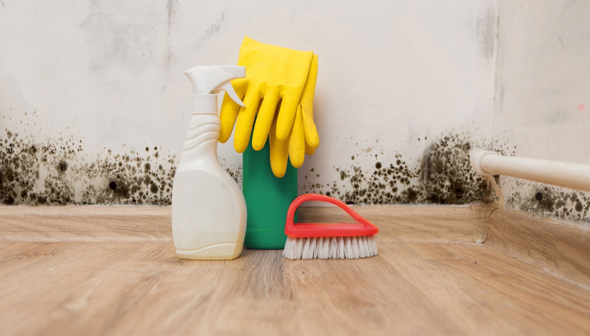 Know About Mold Removal In Hamden