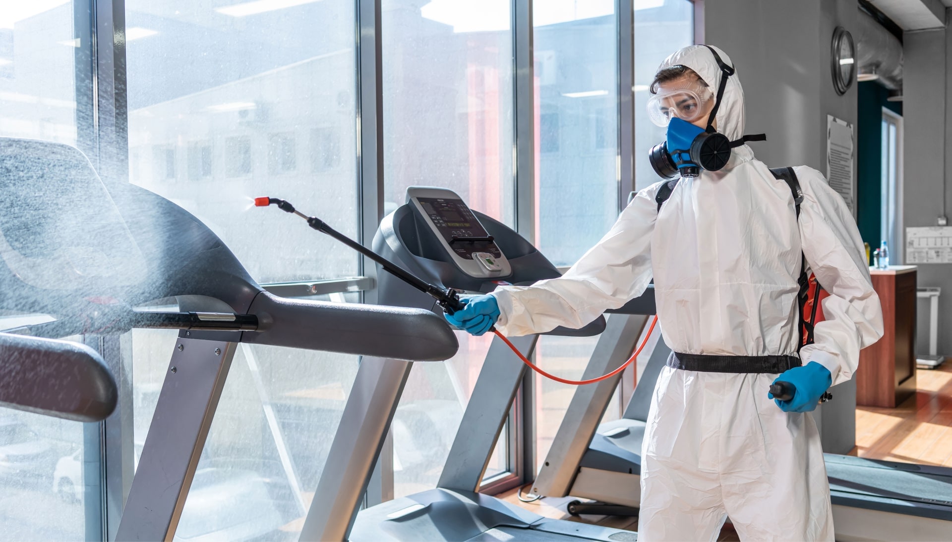 Commercial Mold Removal Services in Hamden
