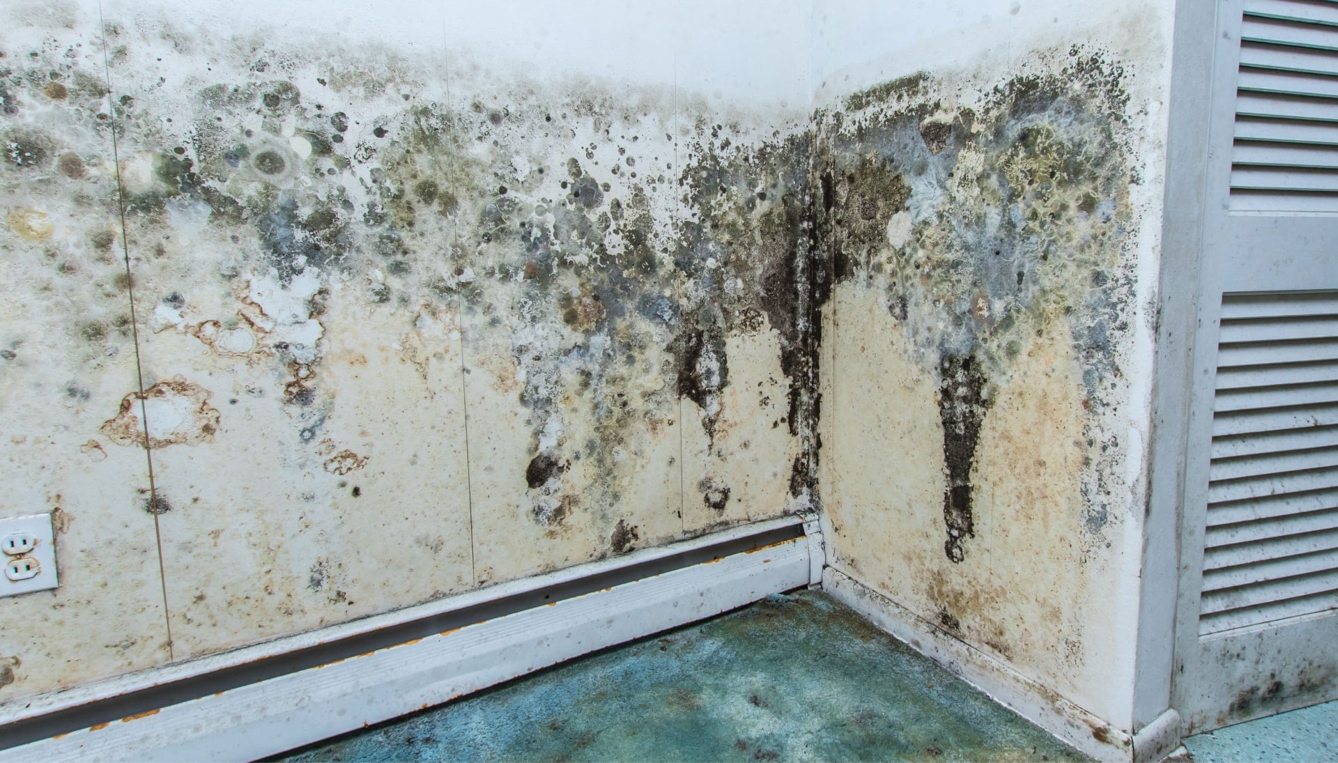 Mold Damage Odor Control Services in Hamden