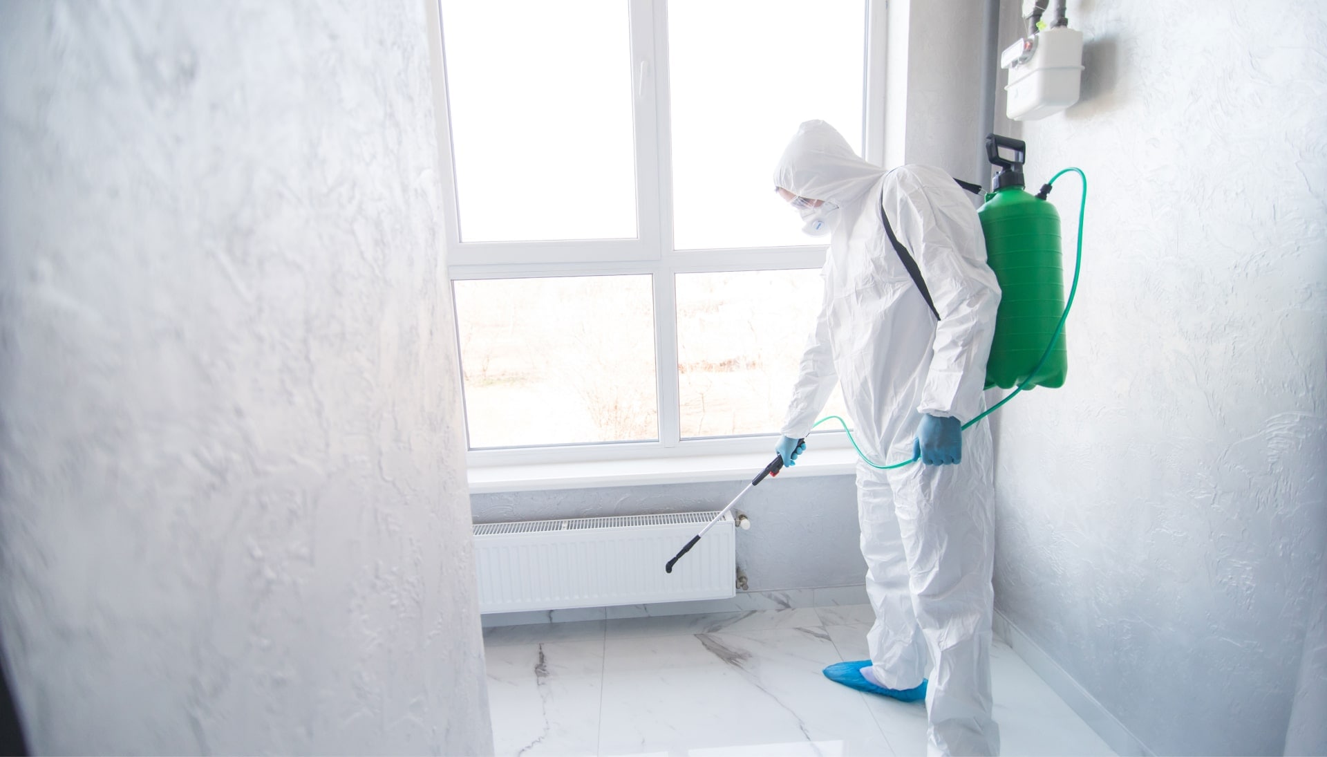 Mold Inspection Services in Hamden